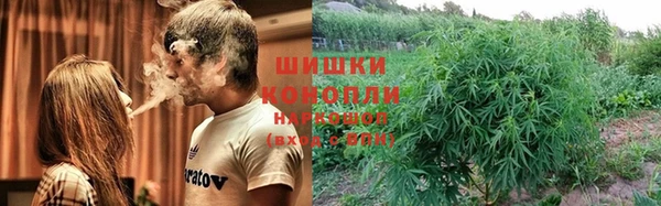 дурь Кулебаки