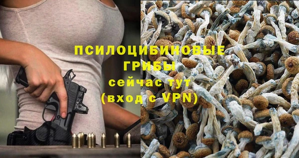 дурь Кулебаки