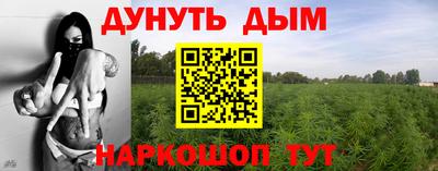 скорость Гатчина
