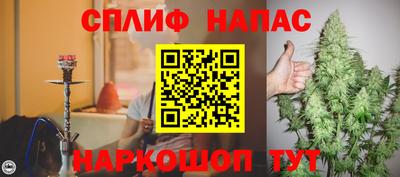 спайс Гай