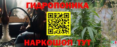 скорость Гатчина