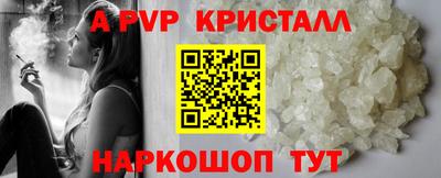 спайс Гай