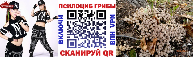 наркошоп Лянтор гидра зеркало Псилоцибиновые грибы мухоморы